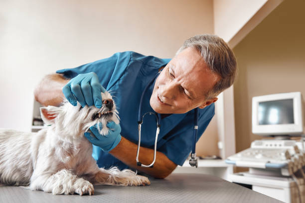 Best Walk-In Emergency Dentist in Orange, OH